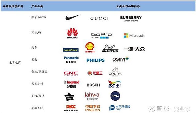 上海电商代运营：让品牌在数字时代绽放新光